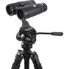 CE-BBND-72332 Nature DX 8x42 ED ダハプリズム双眼鏡 セレストロン 80921490