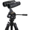 CE-BBND-72333 Nature DX 10x42 ED ダハプリズム双眼鏡 セレストロン 80921508