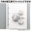 11542 クリアリングファイルペーパーセット A4 アーテック[学校教材・教育玩具] 80921596