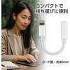 77646 3.5pinライトニング変換アダプタ MAKER 81131778