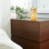 ST13185 トイレの消臭力 Premium Aroma エステー 81272111