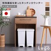 SH-22-CKS60-B-GY 日本製 特殊鋼板を使ったキッチンカウンター【Lugo-ルゴ-】ゴミ箱上カウンター 60cm ホームテイスト 81284266