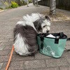 (021526) ROUND BAG(ラウンドバッグ) STREAM TRAIL 81290311