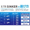 - エギ王 TRシンカー入門セット ヤマリア(YAMASHITA) 81315468