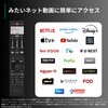 65Z970N ^CVtg}V4K Mini LEDt Z970NV[Y REGZA 81335530