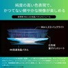 81335548