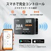 LIT-MPPT2430 LiTime 12V/24V用 30A MPPTソーラーチャージコントローラー LiTime 81343197