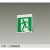 DEG-36862 防災照明/誘導灯 DAIKO(大光電機) 81366244
