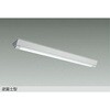 DOL-5554WW LEDベースライト DAIKO(大光電機) 81367206