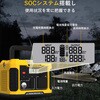 81370006