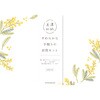 封筒 ミモザ 古川紙工