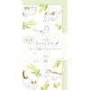 今日のお手紙 ねことミモザ 古川紙工