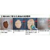 約3kg おが粉 澤商 81385617