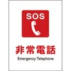 81551033