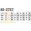 AS-2757 半袖ポロシャツ(リラックスフィット) ANDARE SCHIETTI 81729500
