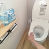 FIN-1091-2P 収納ケースがいらない流せるトイレクリーナー 10枚入×2個 ファイン[日用品] 81740420