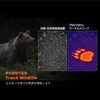 TNV10-PRO サーマル(熱検知)単眼鏡 TNV10 PRO MILESEEY 81740840