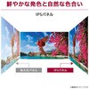 24BF440B-B 23.8インチ 液晶ディスプレイ(1920x1080/IPS/アンチグレア/D-Sub/HDMI/DP/高さ調整/ピボット/スイベル/3年保証) LG 81741339
