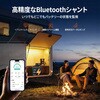 LIT-SH500A LiTime 500A スマートバッテリーモニター(シャント) Bluetooth対応 | オフグリッド用リアルタイム監視 LiTime 81784766