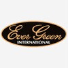 #649 オリーブゴールドフラッシュ コンバットラット EverGreen INTERNATIONAL 81818865