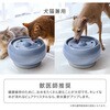 - ピュアクリスタル セラモ 1.8L ジェックス 81862588