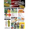 GRA1004-0003 アクティバイタル クールメイカー 断熱インソールアルミプラス グッズマン 81863096