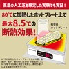 GRA1004-0002 アクティバイタル クールメイカー 断熱インソールアルミプラス グッズマン 81863105
