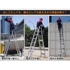 zk184 伸縮性はしご兼脚立 6.2m 万方商事 81903721