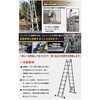 zk184 伸縮性はしご兼脚立 6.2m 万方商事 81903721