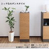 SH-34-006-LBR キャビネット30センチ幅 タカシン家具工業 81922420