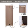 SH-34-006-LBR キャビネット30センチ幅 タカシン家具工業 81922420