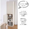 SH-34-023-WH 壁面収納キャビネット 幅45センチ タカシン家具工業 81922849