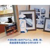 ドライアゲイン 250gバッグ 4個組 消臭除湿バッグセット ピンギー 81965695