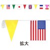 ビニール連続万国旗 アルファ(販促)