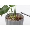 IHPC-10L 穏やかに育つ観葉植物の土 アイリスオーヤマ 81972549