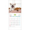 SA-020 【名入れ】THE DOG'S(ザ・ドッグス) サンギョウ 82012747