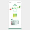 IC-305H 【名入れ】3ヶ月 Leaf(リーフ)(ミシン目入) サンギョウ 82013307