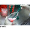 701225 SPL セルカルチャーフラスコ 表面処理あり / 滅菌済 SPL Life Sciences 82029897