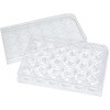 30024 SPL セルカルチャープレート / Surface Treatment+ SPL Life Sciences 82030859