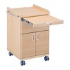 Lisare BTI-LB Lisare 木製床頭台 標準タイプ ライトブラウン Lisare BTI-LBシリーズ ナビス(アズワン) 82039539