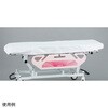 ストレッチャーカバー 吸水・防水 1袋 10枚入 ナビス(アズワン)
