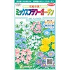 花絵の具 ミックスフラワーガーデン 実咲