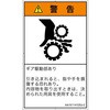 82146977