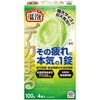 温泡 ONPO デカまる アース製薬