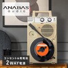 ポータブルレコードプレーヤー 太知ホールディングス