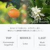DF-POSHEARTS WHIPSPICE アロマオイル WHIPSPICE 82253721