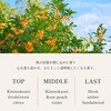 DF-POSHEARTS WHIPSPICE アロマオイル WHIPSPICE 82253721