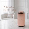 WS-DIFFUSER-ROSEGOLD 【限定カラー】WHIPSPICE アロマディフューザー本体 WHIPSPICE 82253739