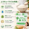 10003585 レスキューライス 9種 8年保存 アルファ化米 EVERSAFE 82263067