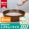 10009873 レスキューライス 100食セット 8年保存 アルファ化米 山貴屋 82262647